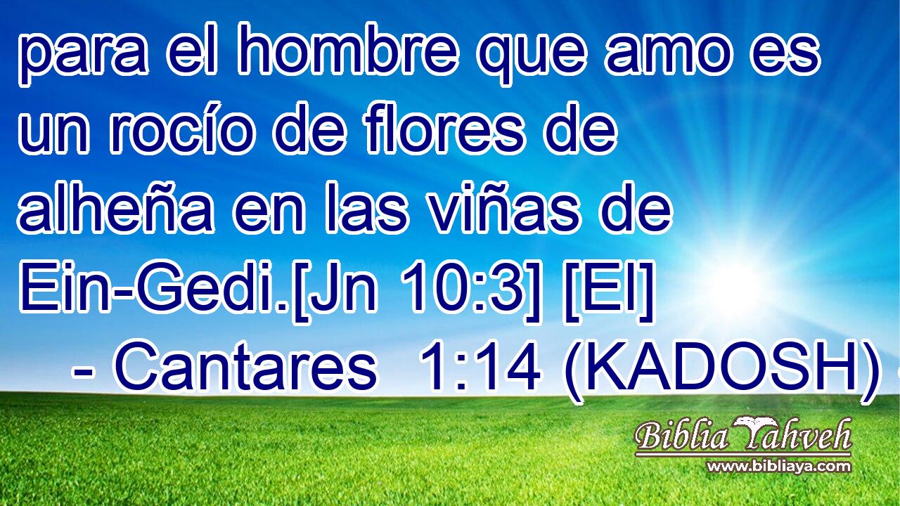  para el hombre que amo es un rocío de flores de alheña en las viñas de Ein-Gedi.[Jn 10:3] [El] 