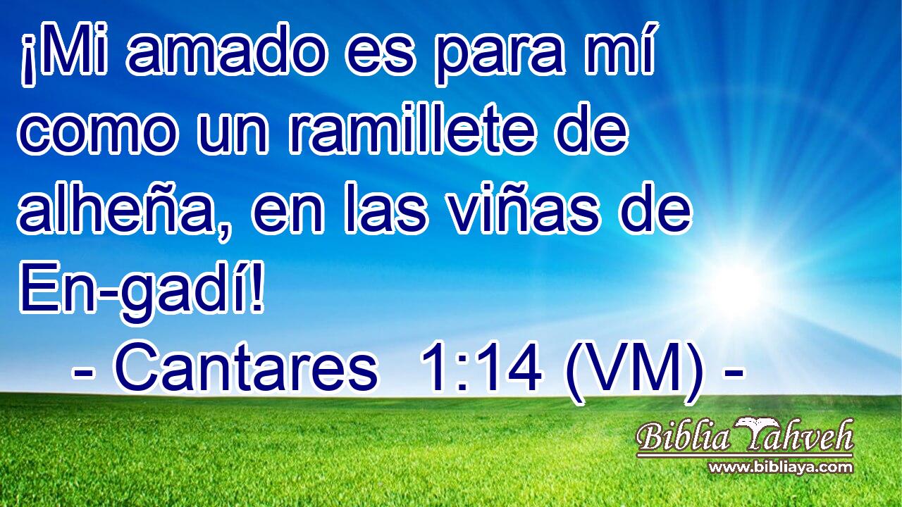  ¡Mi amado es para mí como un ramillete de alheña, en las viñas de En-gadí! 