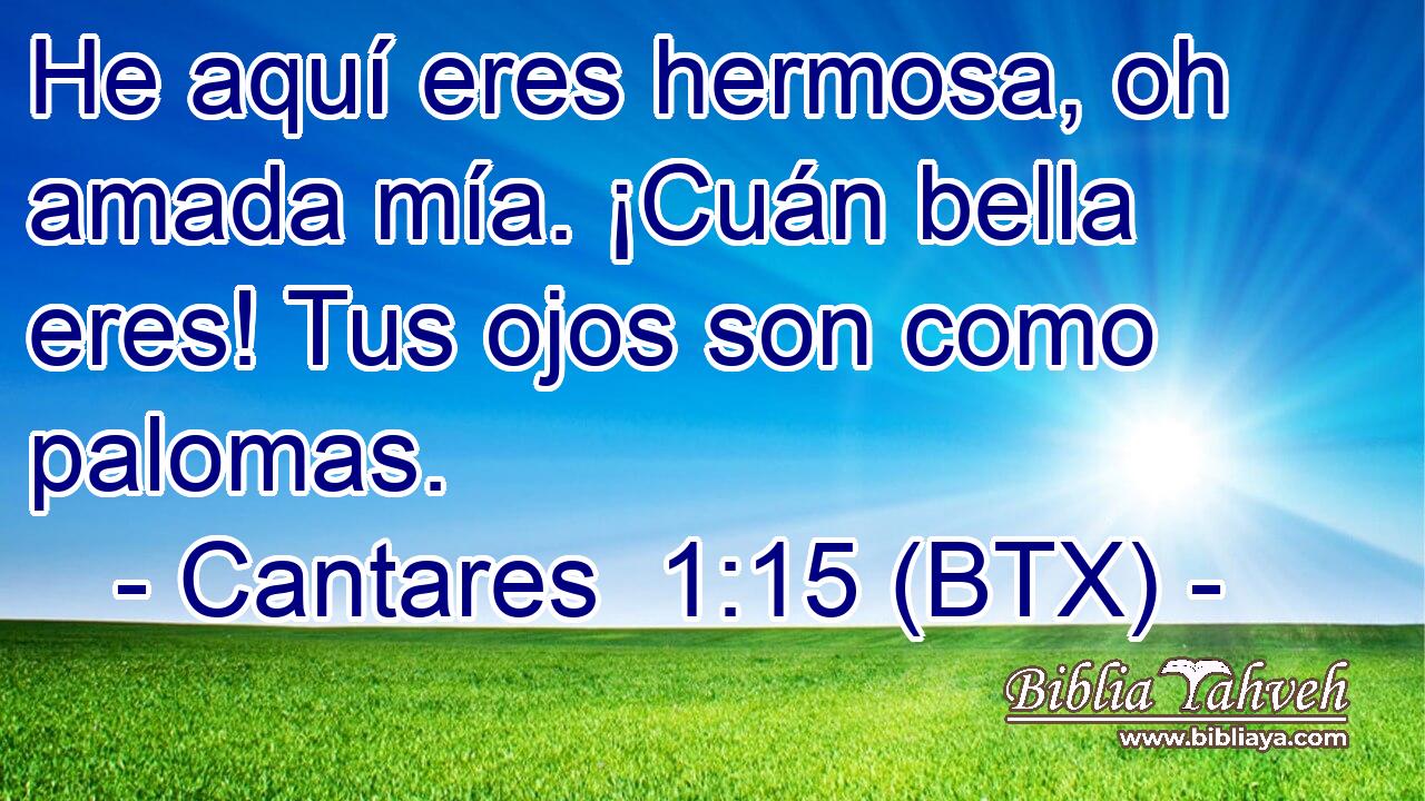 He aquí eres hermosa, oh amada mía. ¡Cuán bella eres! Tus ojos son como palomas.