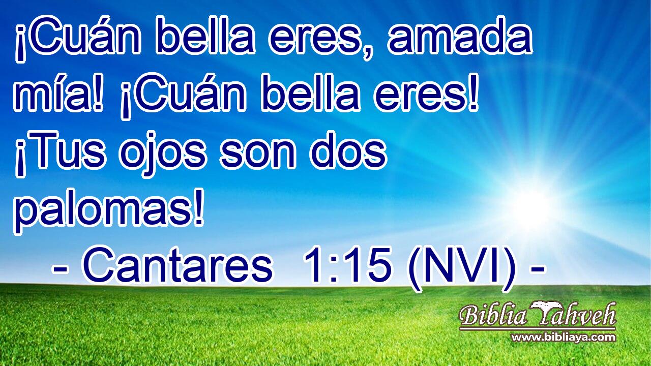  ¡Cuán bella eres, amada mía! ¡Cuán bella eres! ¡Tus ojos son dos palomas! 