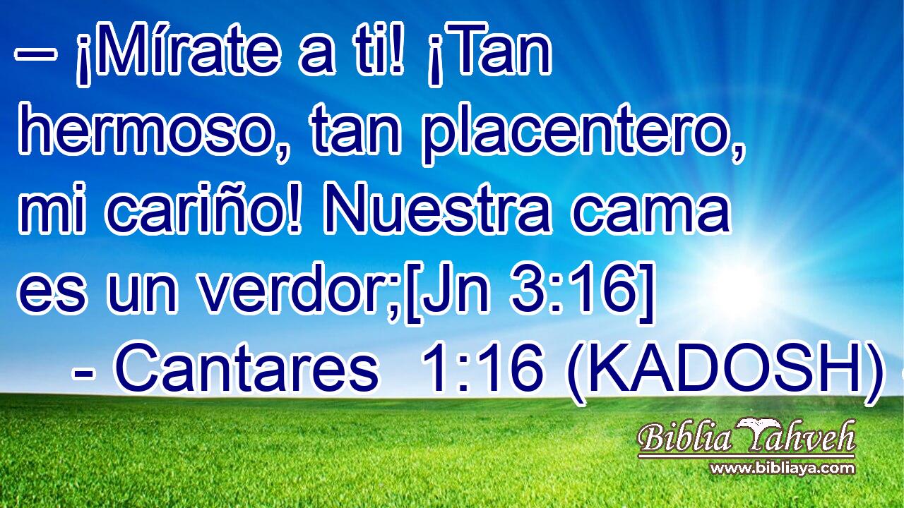  – ¡Mírate a ti! ¡Tan hermoso, tan placentero, mi cariño! Nuestra cama es un verdor;[Jn 3:16] 
