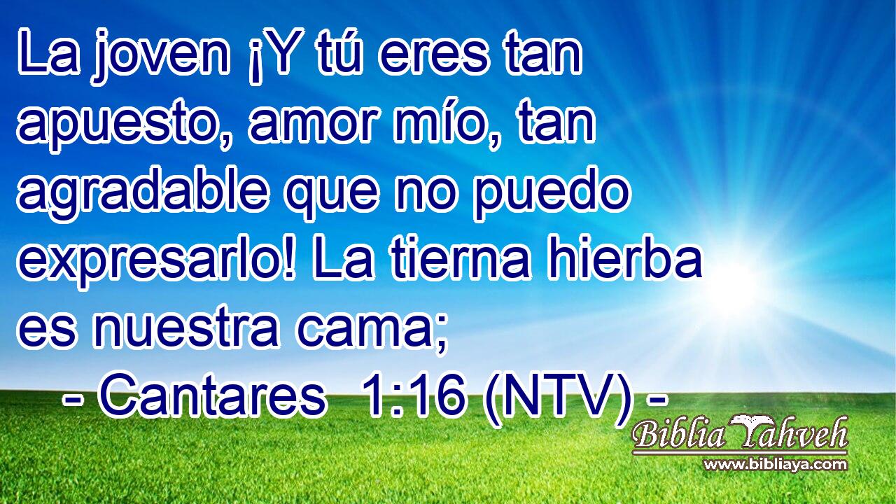  La joven ¡Y tú eres tan apuesto, amor mío, tan agradable que no puedo expresarlo! La tierna hierba es nuestra cama;