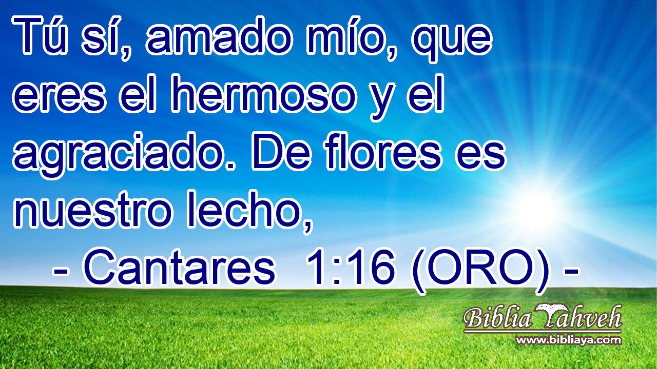  Tú sí, amado mío, que eres el hermoso y el agraciado. De flores es nuestro lecho, 