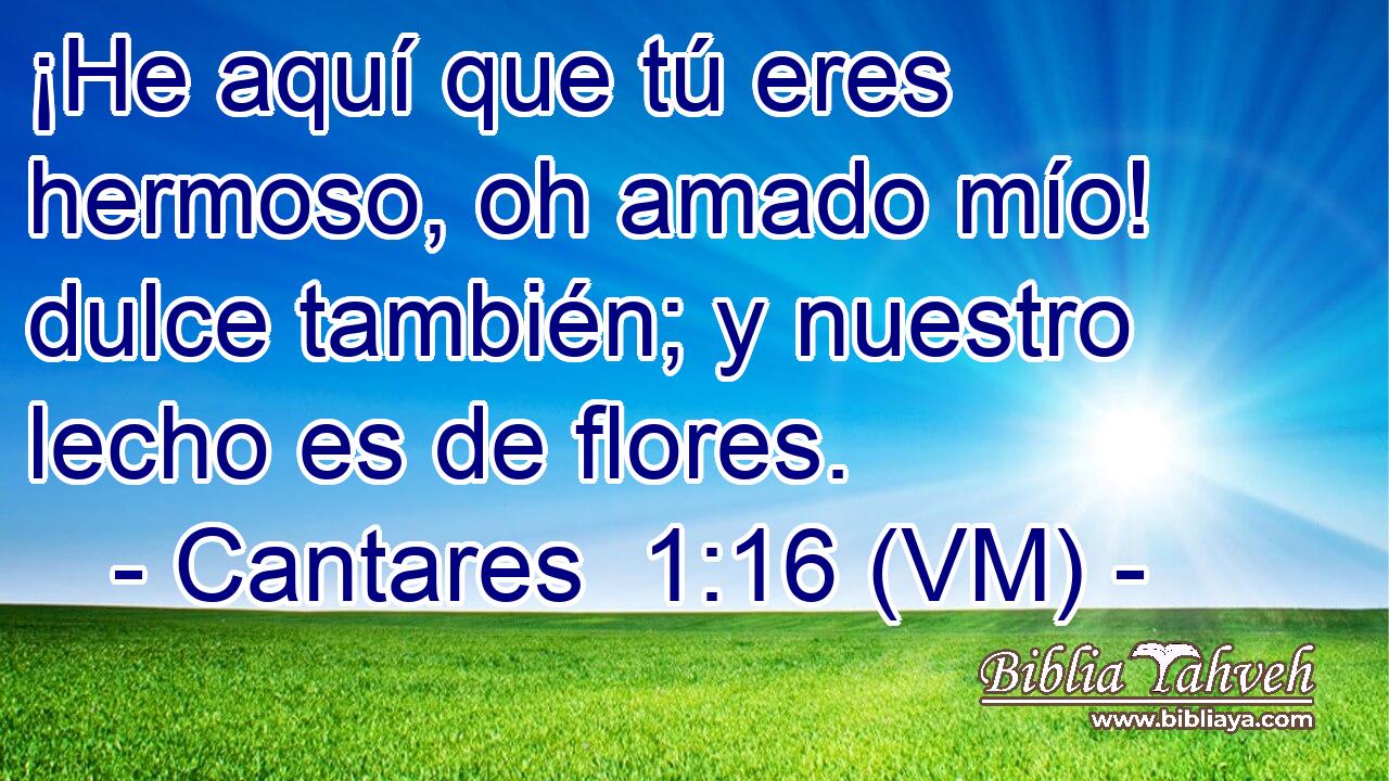  ¡He aquí que tú eres hermoso, oh amado mío! dulce también; y nuestro lecho es de flores. 