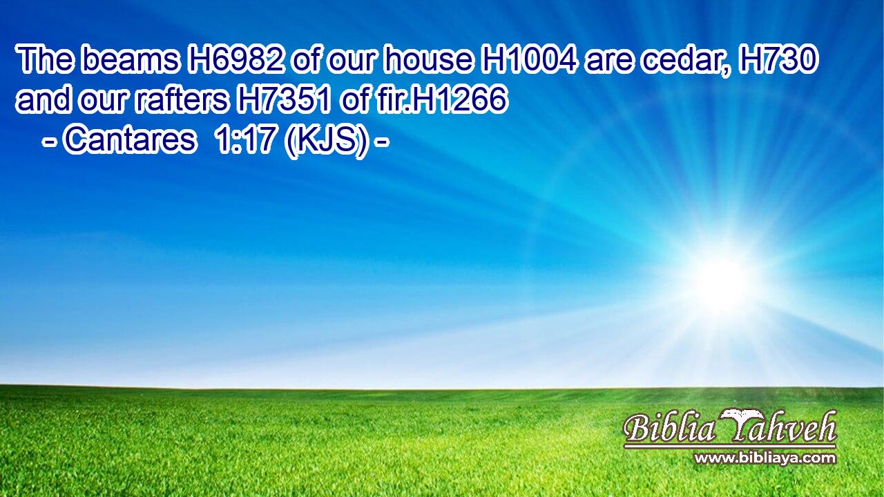 The beams H6982 of our house H1004 are cedar, H730 and our rafters H7351 of fir.H1266