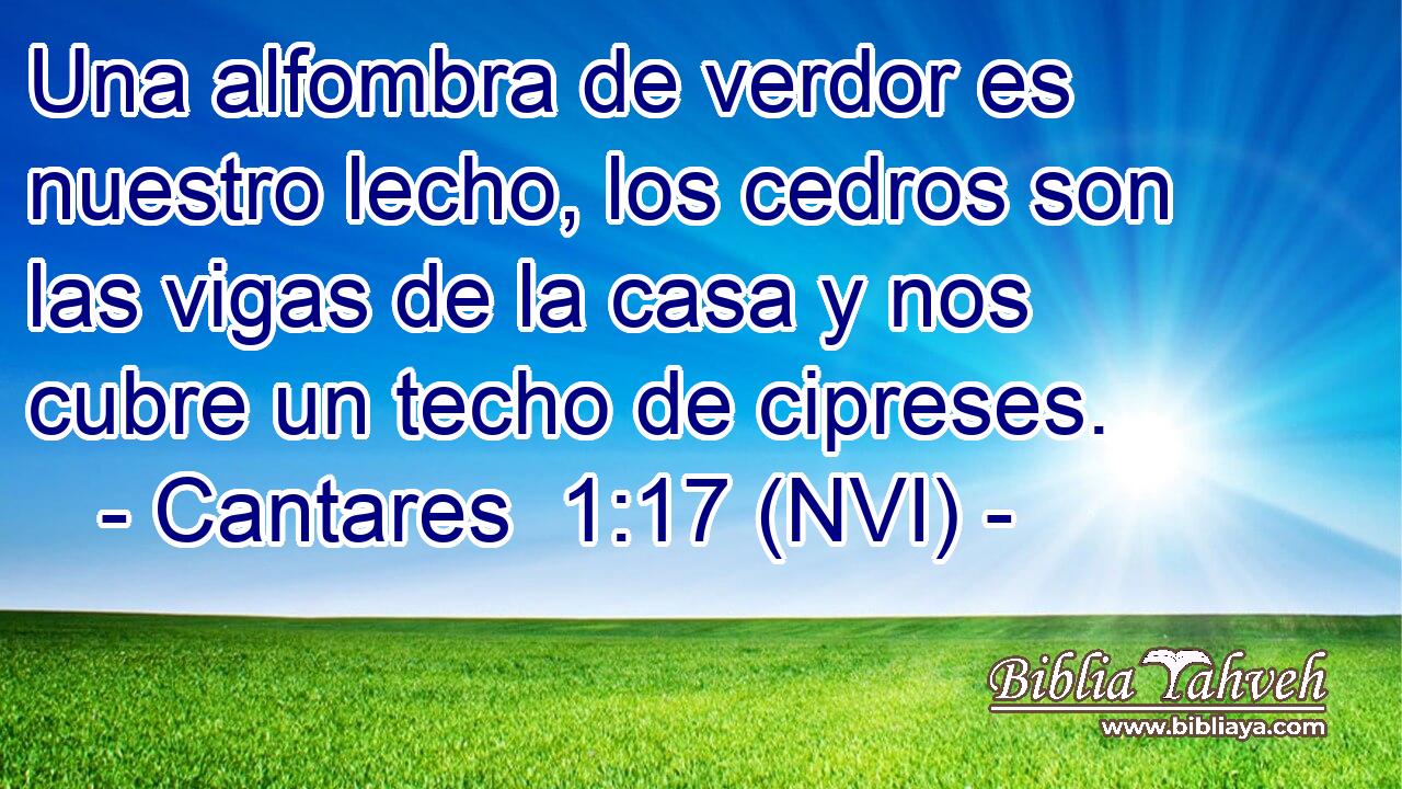  Una alfombra de verdor es nuestro lecho, los cedros son las vigas de la casa y nos cubre un techo de cipreses. 