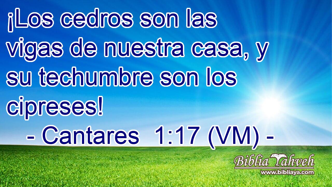  ¡Los cedros son las vigas de nuestra casa, y su techumbre son los cipreses! 