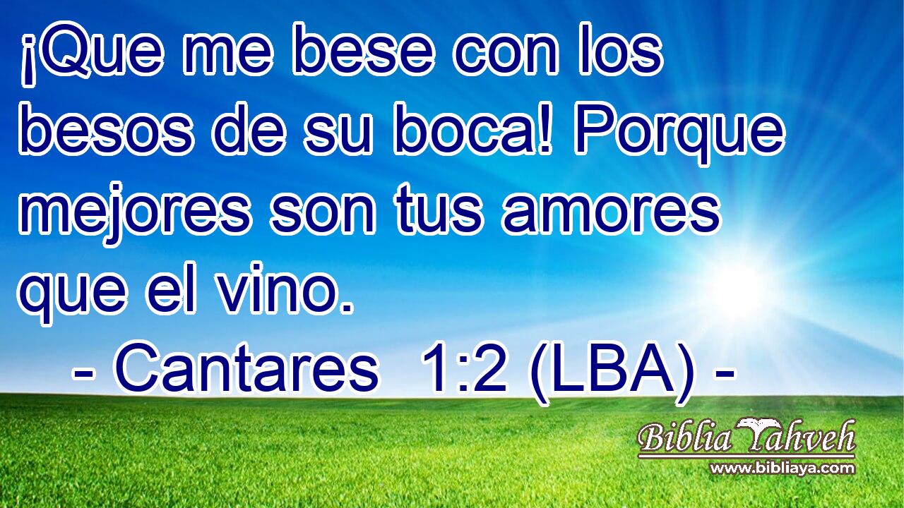 ¡Que me bese con los besos de su boca! Porque mejores son tus amores que el vino.