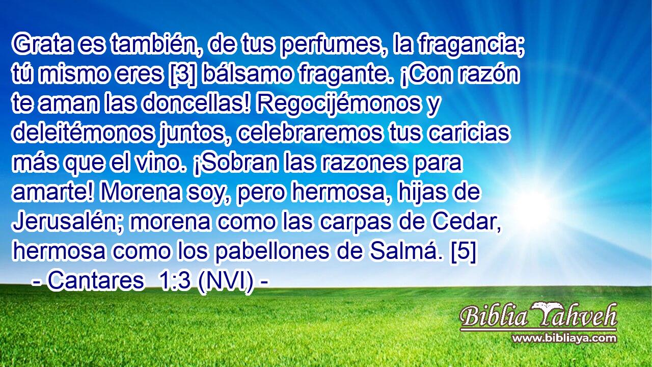  Grata es también, de tus perfumes, la fragancia; tú mismo eres [3] bálsamo fragante. ¡Con razón te aman las doncellas! Regocijémonos y deleitémonos juntos, celebraremos tus caricias más que el vino. ¡Sobran las razones para amarte! Morena soy, pero hermosa, hijas de Jerusalén; morena como las carpas de Cedar, hermosa como los pabellones de Salmá. [5] 