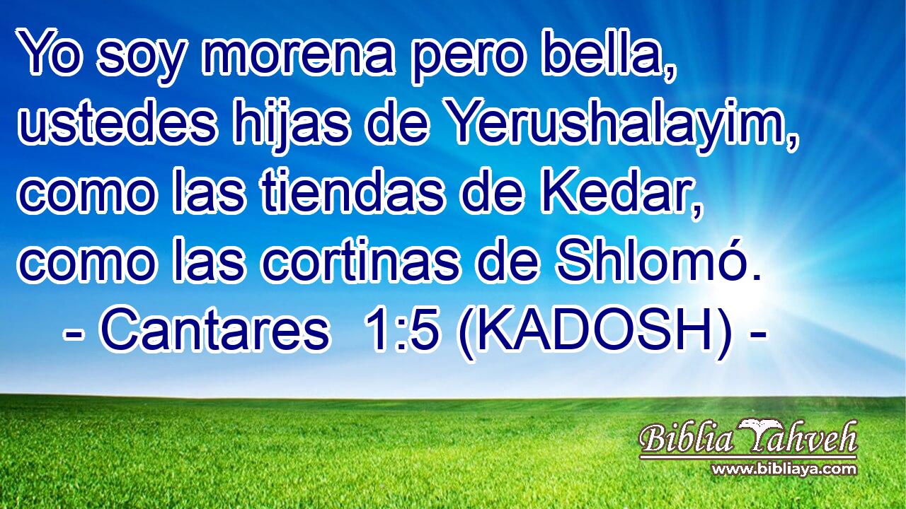  Yo soy morena pero bella, ustedes hijas de Yerushalayim, como las tiendas de Kedar, como las cortinas de Shlomó. 
