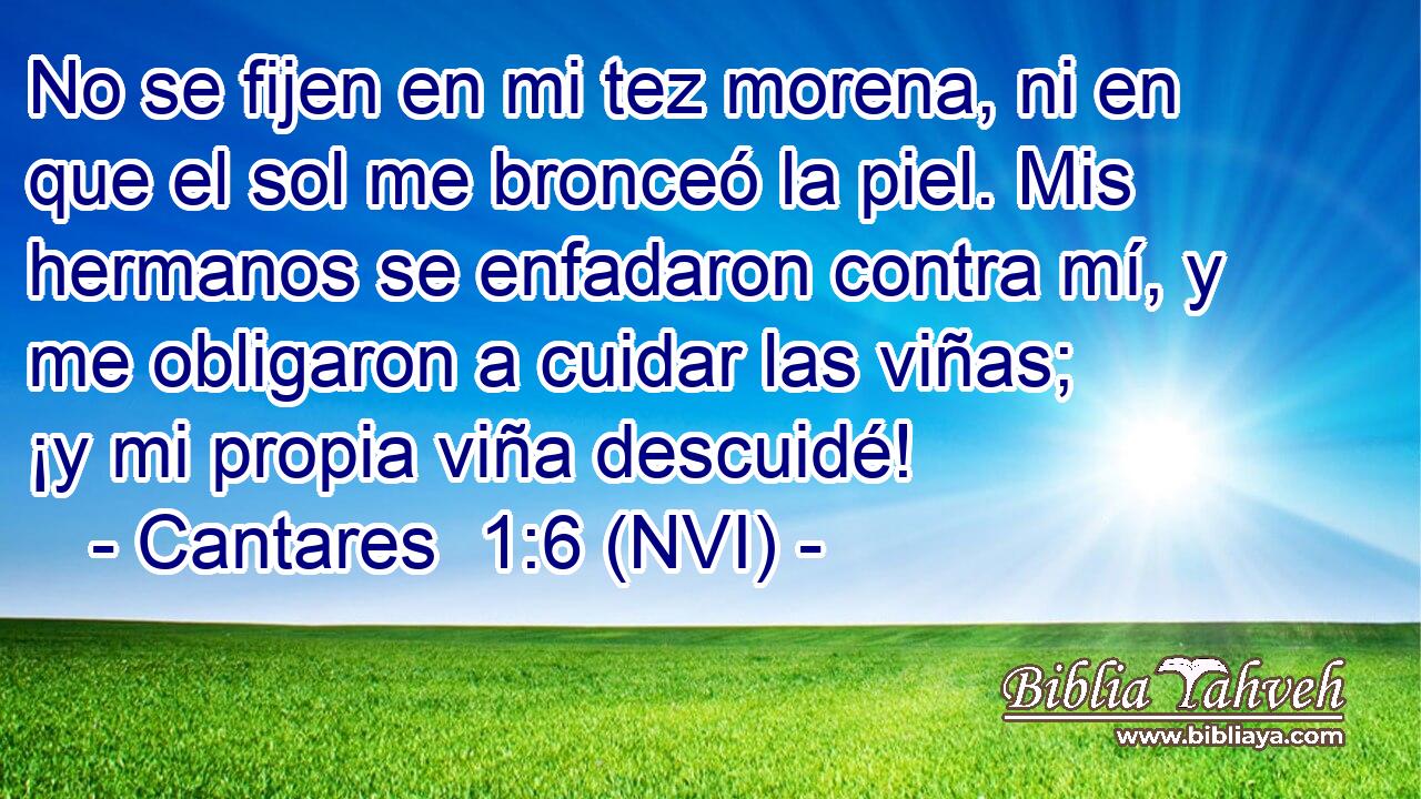  No se fijen en mi tez morena, ni en que el sol me bronceó la piel. Mis hermanos se enfadaron contra mí, y me obligaron a cuidar las viñas; ¡y mi propia viña descuidé! 