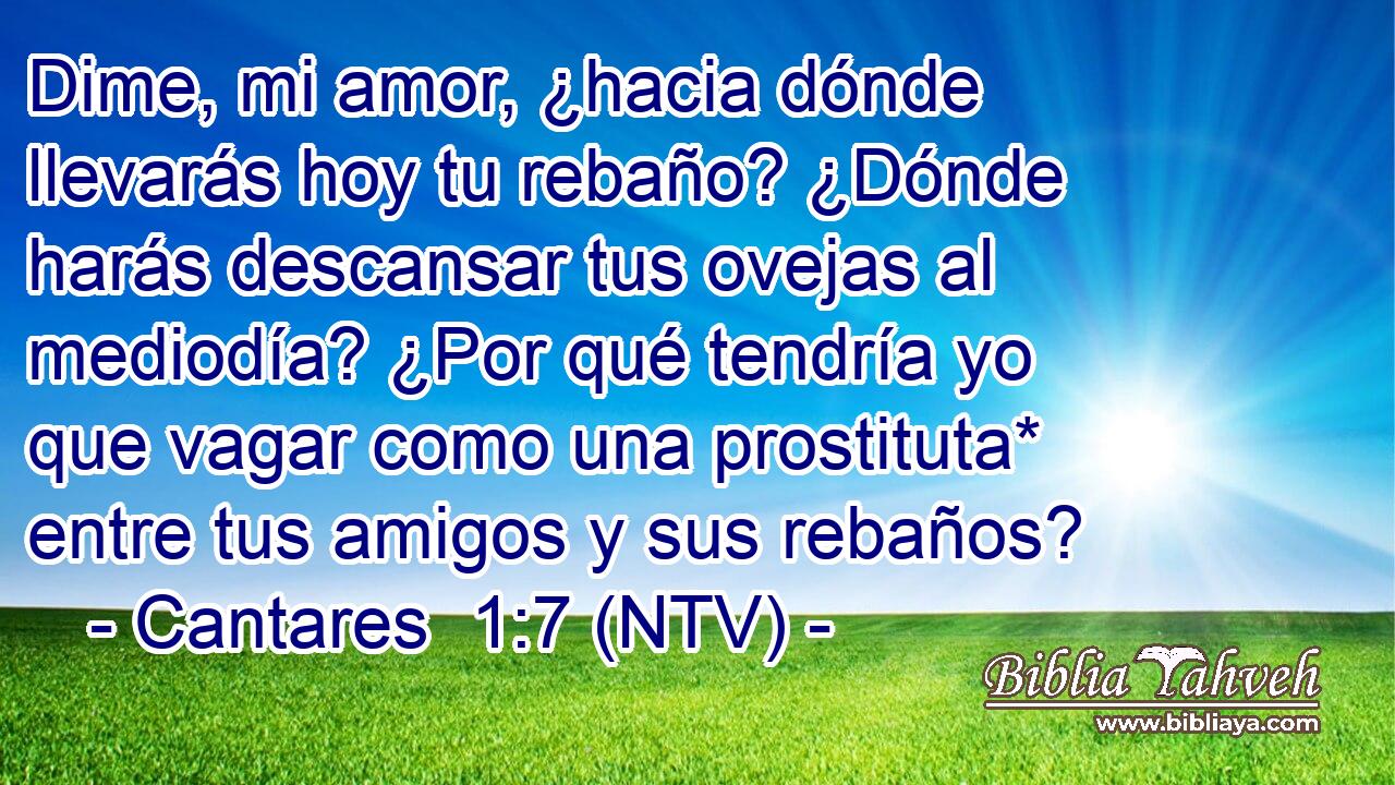 Dime, mi amor, ¿hacia dónde llevarás hoy tu rebaño? ¿Dónde harás descansar tus ovejas al mediodía? ¿Por qué tendría yo que vagar como una prostituta* entre tus amigos y sus rebaños?