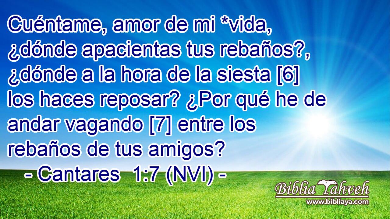  Cuéntame, amor de mi *vida, ¿dónde apacientas tus rebaños?, ¿dónde a la hora de la siesta [6] los haces reposar? ¿Por qué he de andar vagando [7] entre los rebaños de tus amigos? 