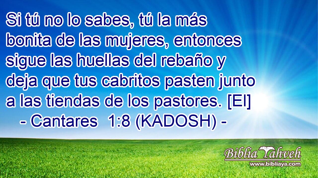  Si tú no lo sabes, tú la más bonita de las mujeres, entonces sigue las huellas del rebaño y deja que tus cabritos pasten junto a las tiendas de los pastores. [El] 