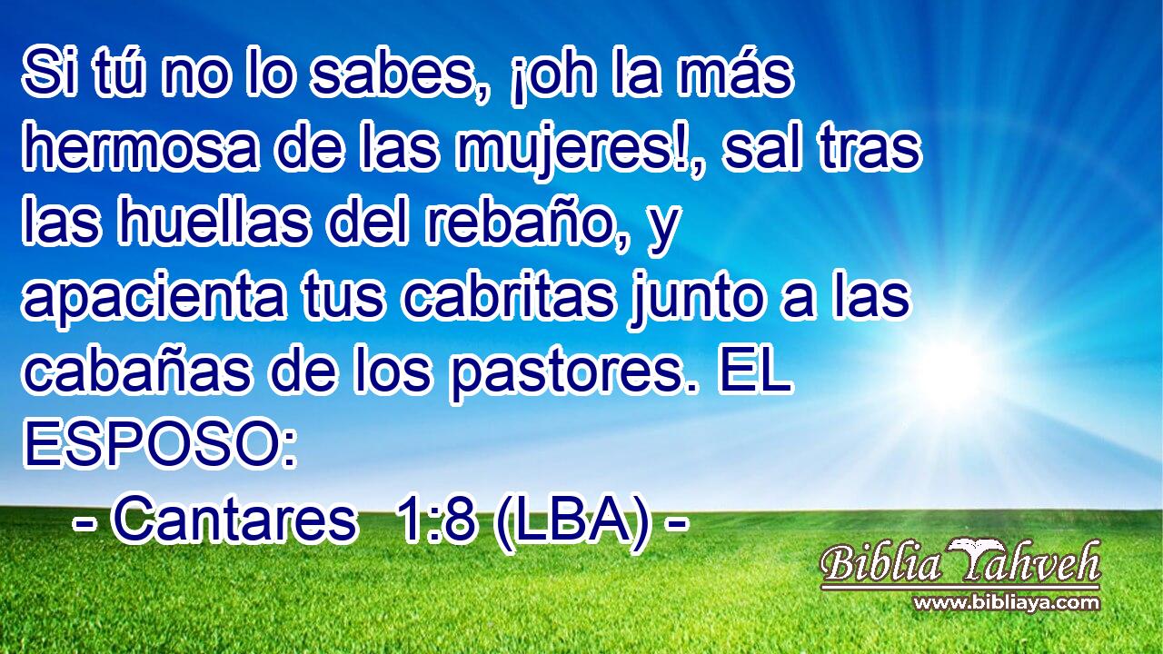 Si tú no lo sabes, ¡oh la más hermosa de las mujeres!, sal tras las huellas del rebaño, y apacienta tus cabritas junto a las cabañas de los pastores. EL ESPOSO: