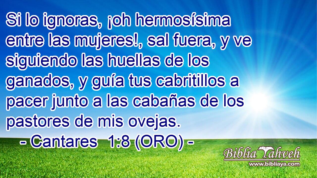  Si lo ignoras, ¡oh hermosísima entre las mujeres!, sal fuera, y ve siguiendo las huellas de los ganados, y guía tus cabritillos a pacer junto a las cabañas de los pastores de mis ovejas. 