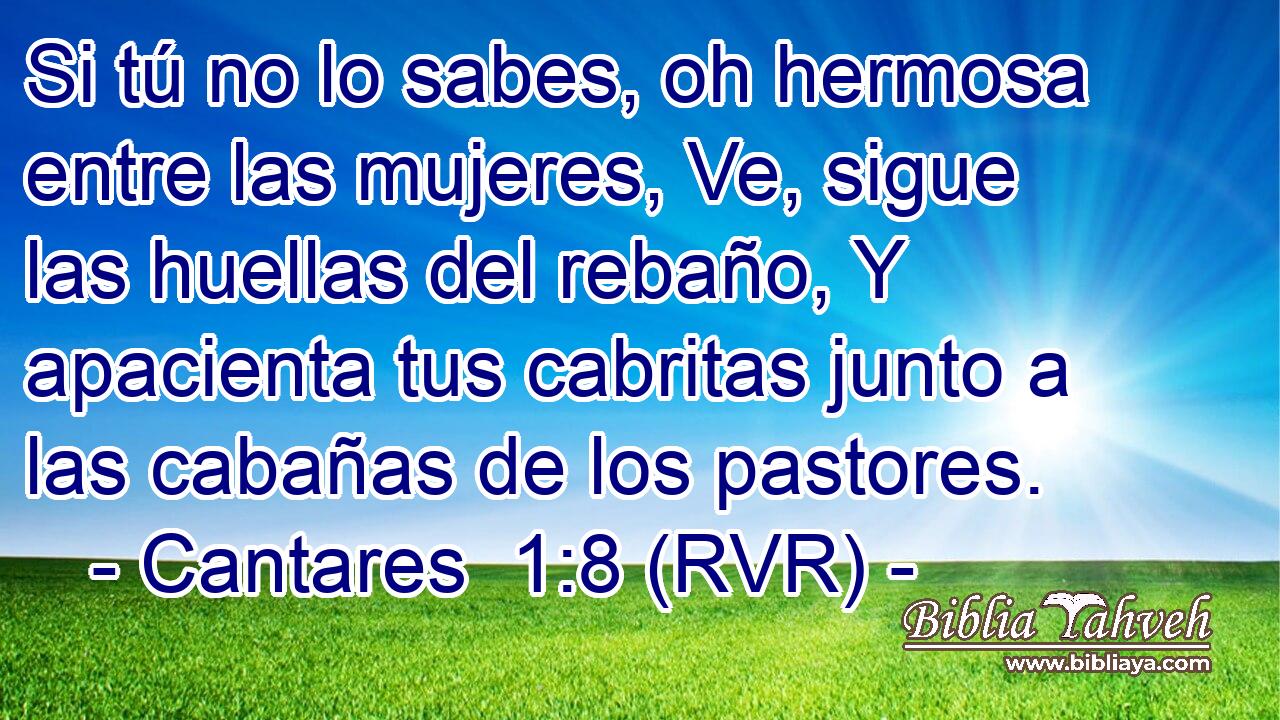 Si tú no lo sabes, oh hermosa entre las mujeres, Ve, sigue las huellas del rebaño, Y apacienta tus cabritas junto a las cabañas de los pastores.