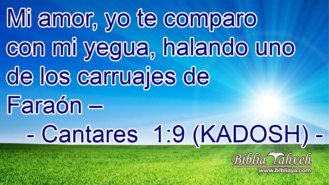  Mi amor, yo te comparo con mi yegua, halando uno de los carruajes de Faraón – 
