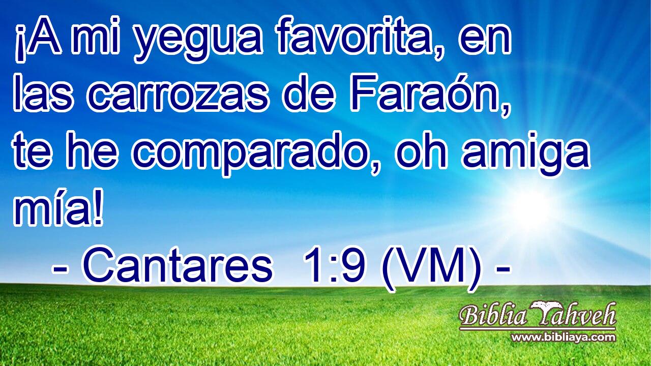  ¡A mi yegua favorita, en las carrozas de Faraón, te he comparado, oh amiga mía! 