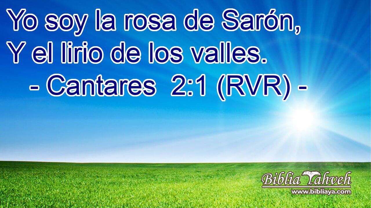 Yo soy la rosa de Sarón, Y el lirio de los valles.