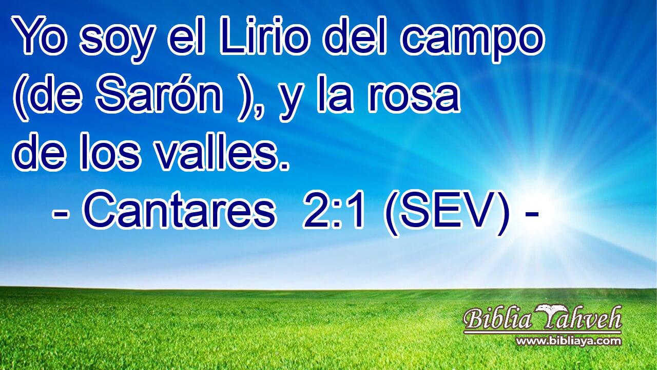 Yo soy el Lirio del campo (de Sarón ), y la rosa de los valles.