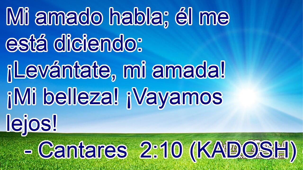  Mi amado habla; él me está diciendo: ¡Levántate, mi amada! ¡Mi belleza! ¡Vayamos lejos! 