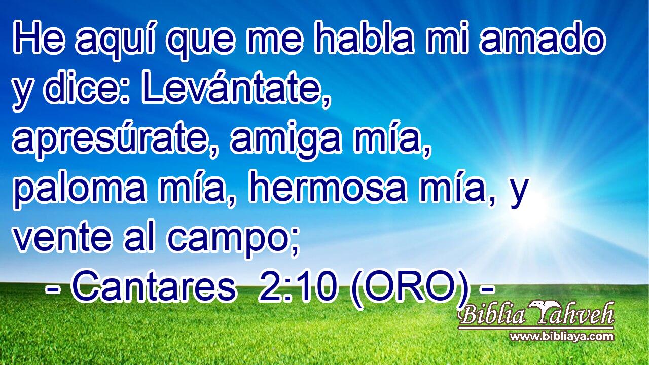  He aquí que me habla mi amado y dice: Levántate, apresúrate, amiga mía, paloma mía, hermosa mía, y vente al campo; 