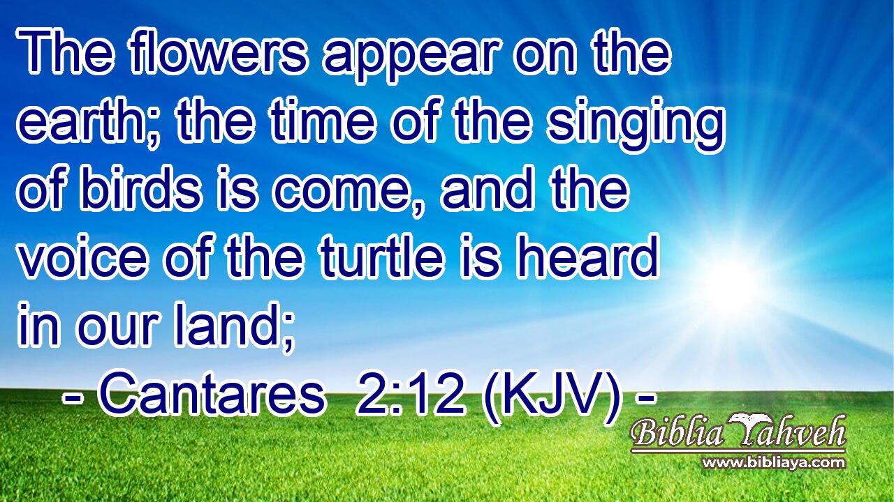 The flowers appear on the earth; the time of the singing of birds is come, and the voice of the turtle is heard in our land;
