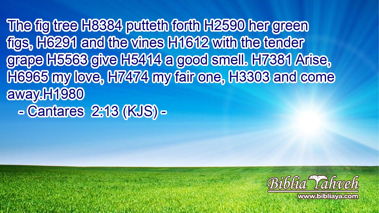 The fig tree H8384 putteth forth H2590 her green figs, H6291 and the vines H1612 with the tender grape H5563 give H5414 a good smell. H7381 Arise, H6965 my love, H7474 my fair one, H3303 and come away.H1980