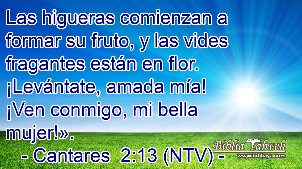 Las higueras comienzan a formar su fruto, y las vides fragantes están en flor. ¡Levántate, amada mía! ¡Ven conmigo, mi bella mujer!».