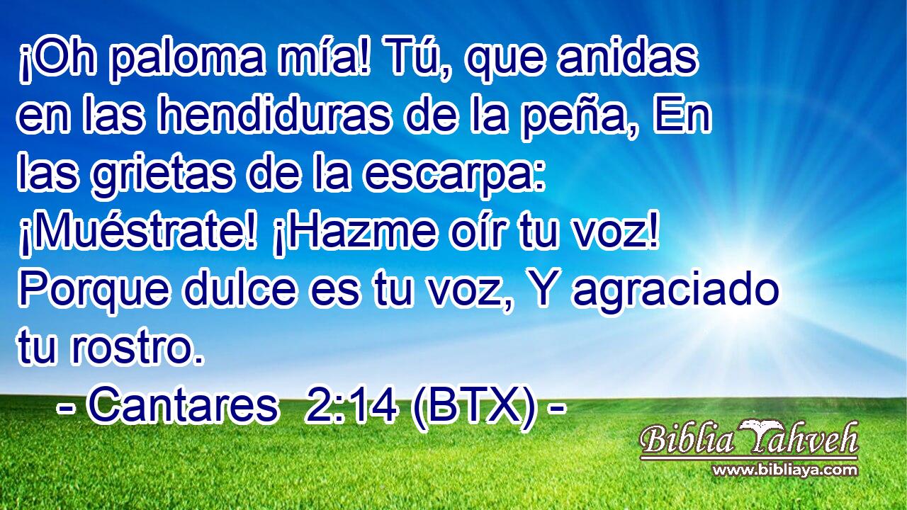 ¡Oh paloma mía! Tú, que anidas en las hendiduras de la peña, En las grietas de la escarpa: ¡Muéstrate! ¡Hazme oír tu voz! Porque dulce es tu voz, Y agraciado tu rostro.