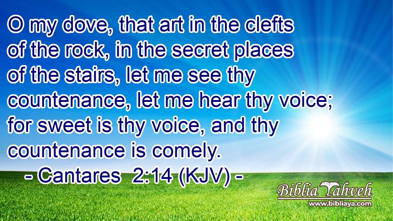 O my dove, that art in the clefts of the rock, in the secret places of the stairs, let me see thy countenance, let me hear thy voice; for sweet is thy voice, and thy countenance is comely.