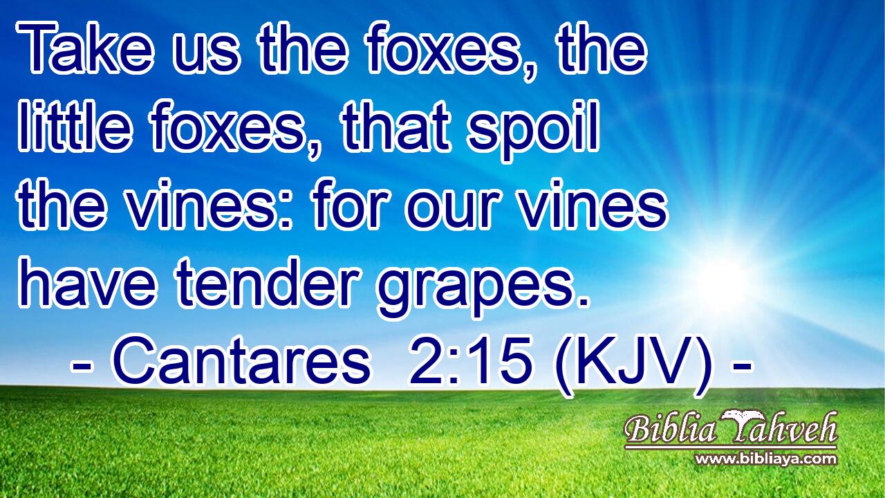 Take us the foxes, the little foxes, that spoil the vines: for our vines have tender grapes.