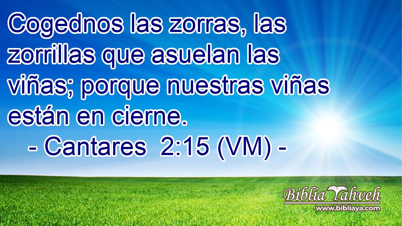  Cogednos las zorras, las zorrillas que asuelan las viñas; porque nuestras viñas están en cierne. 