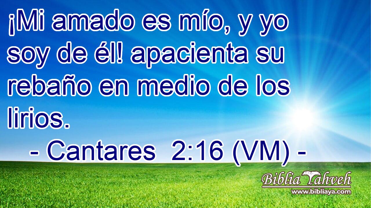  ¡Mi amado es mío, y yo soy de él! apacienta su rebaño en medio de los lirios. 
