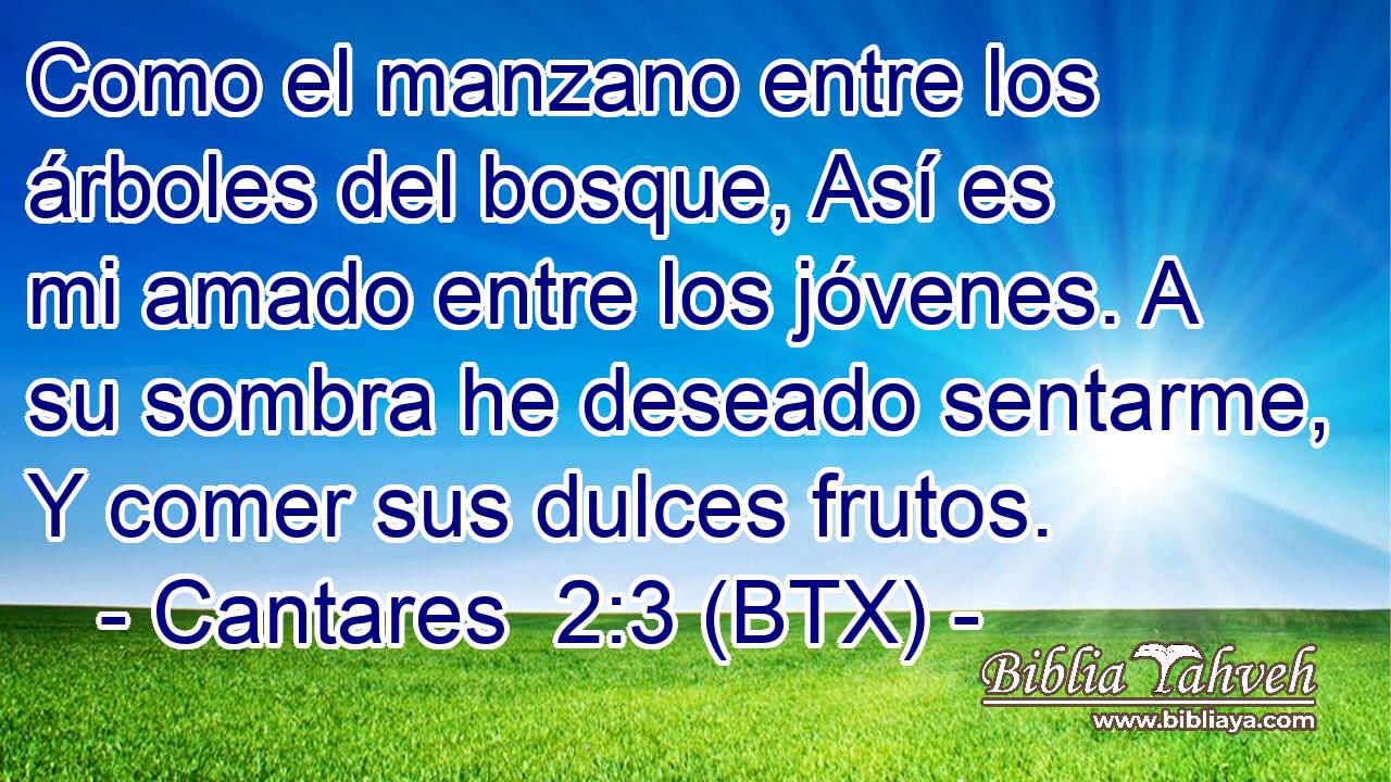 Como el manzano entre los árboles del bosque, Así es mi amado entre los jóvenes. A su sombra he deseado sentarme, Y comer sus dulces frutos.