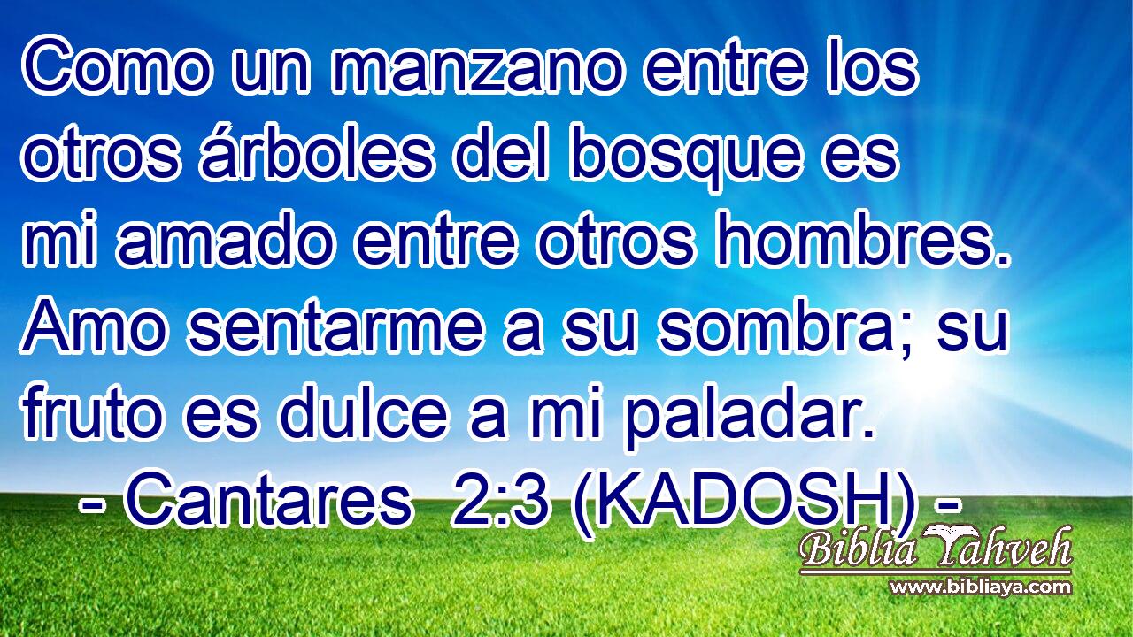  Como un manzano entre los otros árboles del bosque es mi amado entre otros hombres. Amo sentarme a su sombra; su fruto es dulce a mi paladar. 