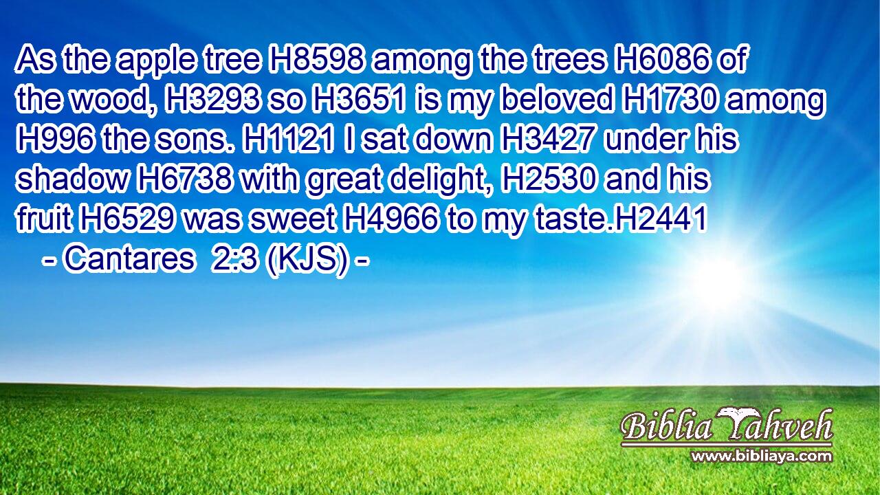 As the apple tree H8598 among the trees H6086 of the wood, H3293 so H3651 is my beloved H1730 among H996 the sons. H1121 I sat down H3427 under his shadow H6738 with great delight, H2530 and his fruit H6529 was sweet H4966 to my taste.H2441