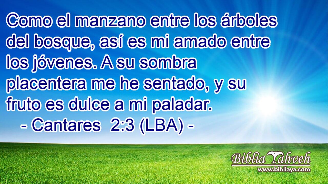 Como el manzano entre los árboles del bosque, así es mi amado entre los jóvenes. A su sombra placentera me he sentado, y su fruto es dulce a mi paladar.
