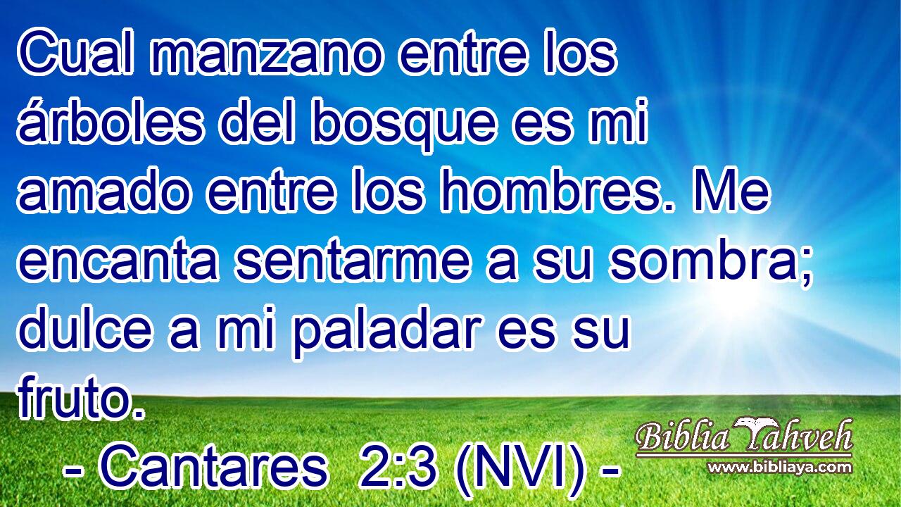  Cual manzano entre los árboles del bosque es mi amado entre los hombres. Me encanta sentarme a su sombra; dulce a mi paladar es su fruto. 
