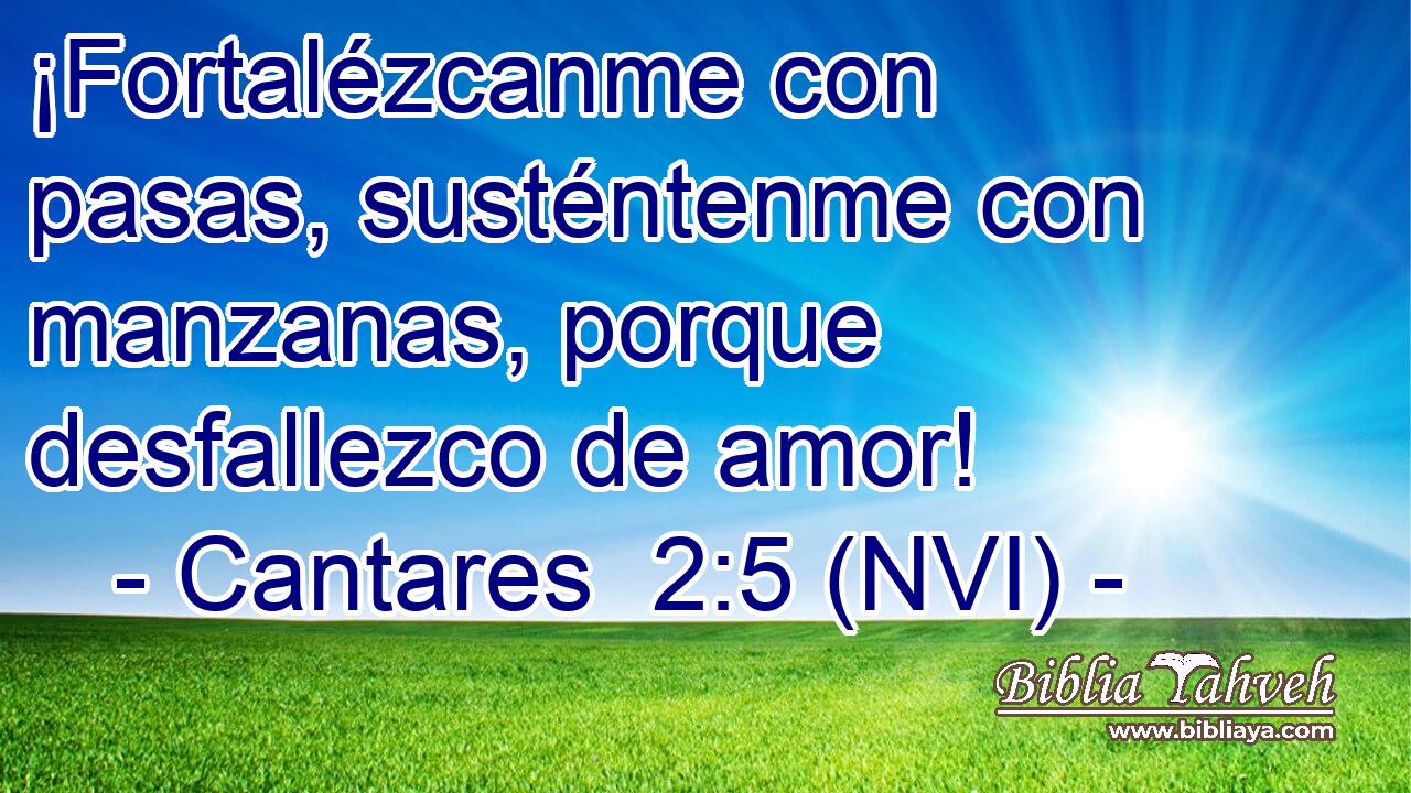  ¡Fortalézcanme con pasas, susténtenme con manzanas, porque desfallezco de amor! 