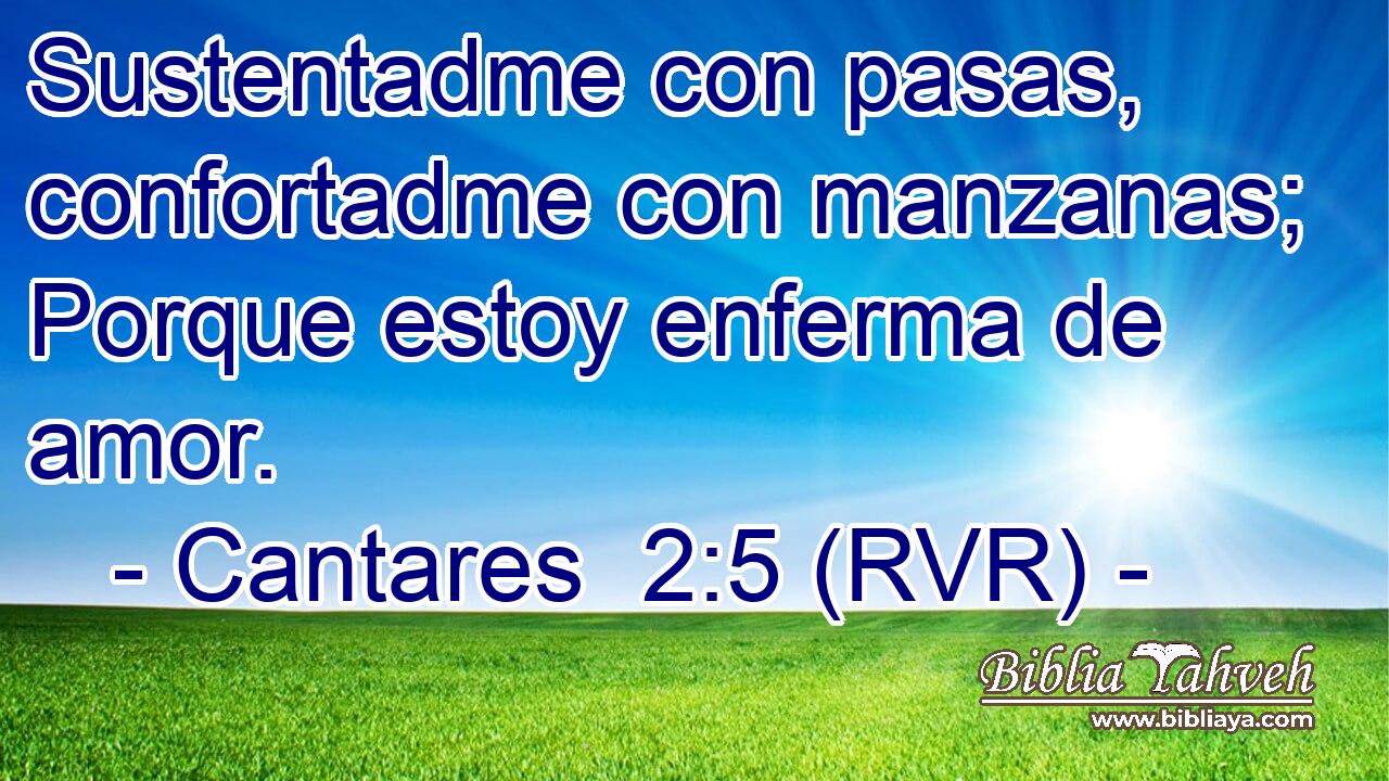 Sustentadme con pasas, confortadme con manzanas; Porque estoy enferma de amor.