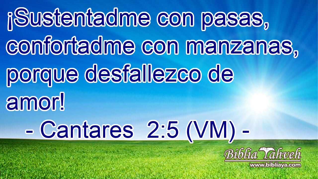  ¡Sustentadme con pasas, confortadme con manzanas, porque desfallezco de amor! 