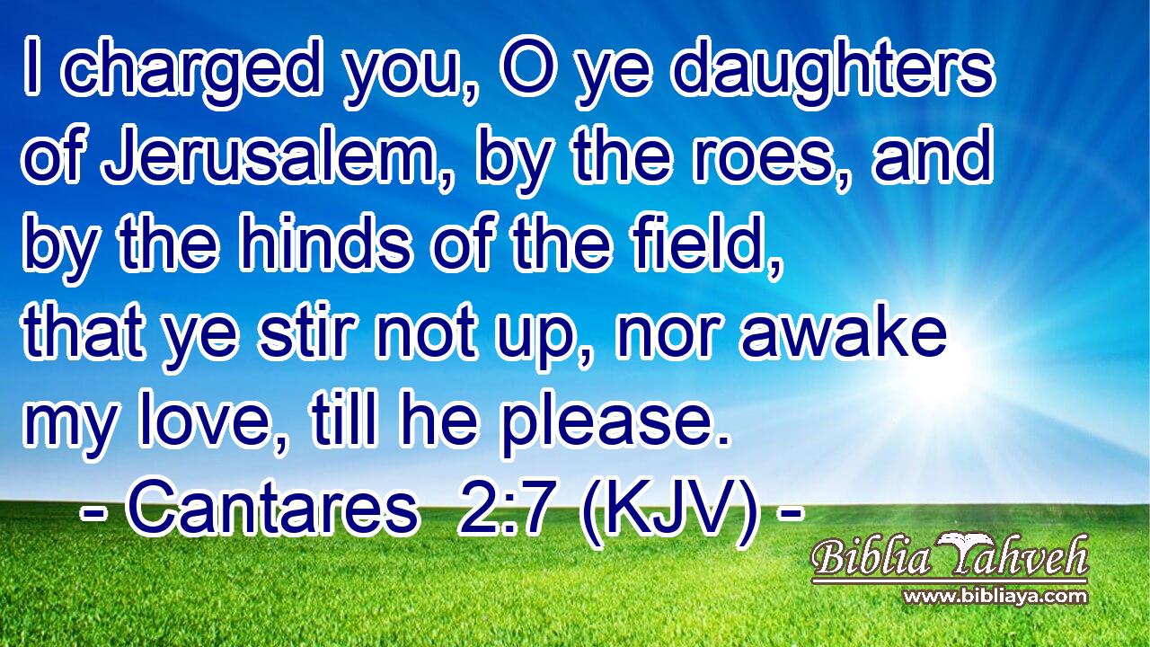 I charged you, O ye daughters of Jerusalem, by the roes, and by the hinds of the field, that ye stir not up, nor awake my love, till he please.
