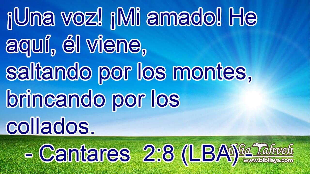 ¡Una voz! ¡Mi amado! He aquí, él viene, saltando por los montes, brincando por los collados.