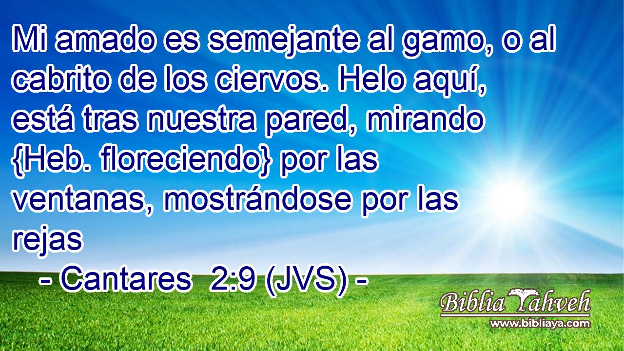 Mi amado es semejante al gamo, o al cabrito de los ciervos. Helo aquí, está tras nuestra pared, mirando {Heb. floreciendo} por las ventanas, mostrándose por las rejas