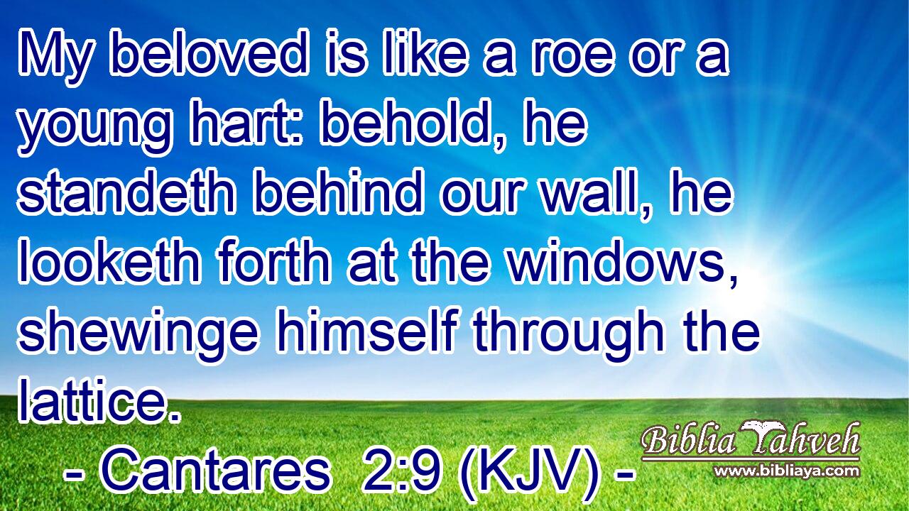 My beloved is like a roe or a young hart: behold, he standeth behind our wall, he looketh forth at the windows, shewinge himself through the lattice.