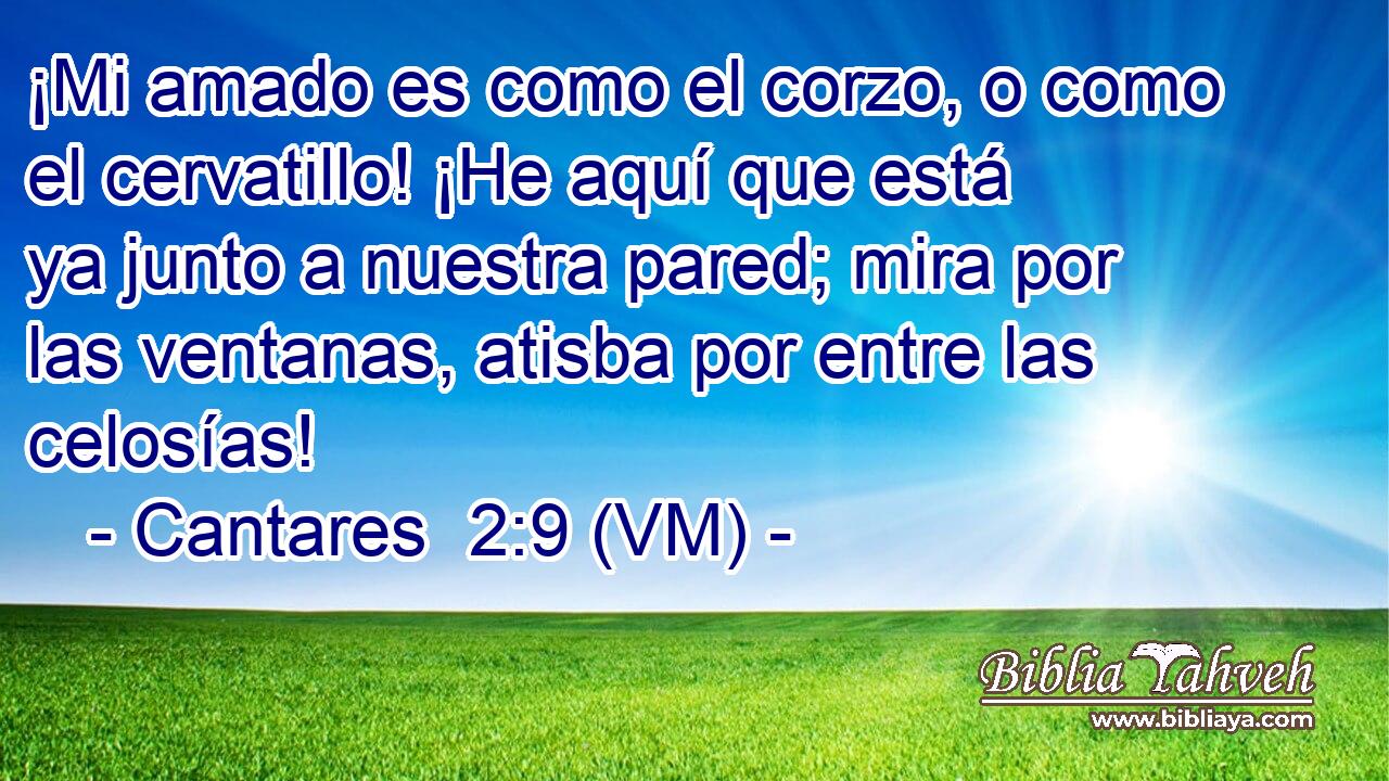  ¡Mi amado es como el corzo, o como el cervatillo! ¡He aquí que está ya junto a nuestra pared; mira por las ventanas, atisba por entre las celosías! 