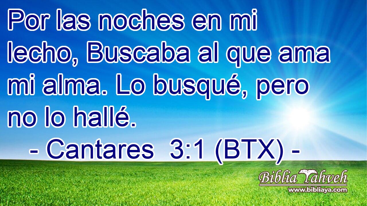 Por las noches en mi lecho, Buscaba al que ama mi alma. Lo busqué, pero no lo hallé.