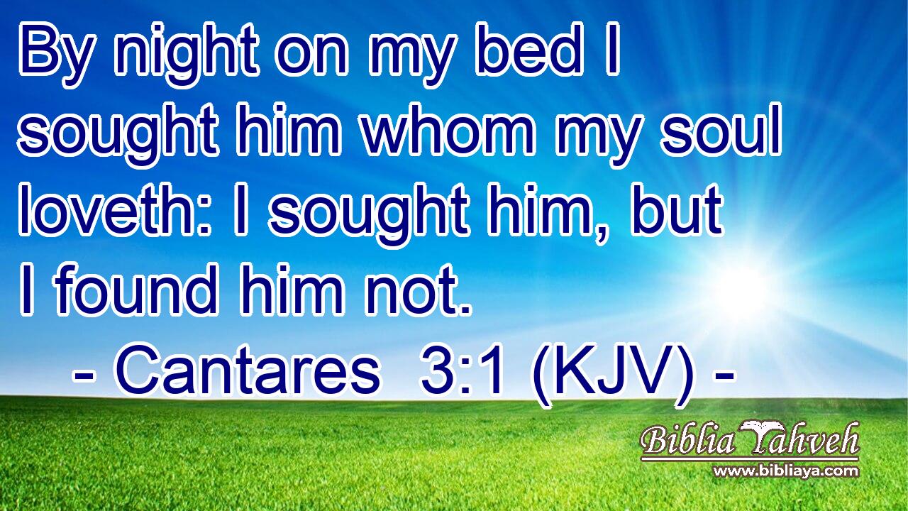 By night on my bed I sought him whom my soul loveth: I sought him, but I found him not.